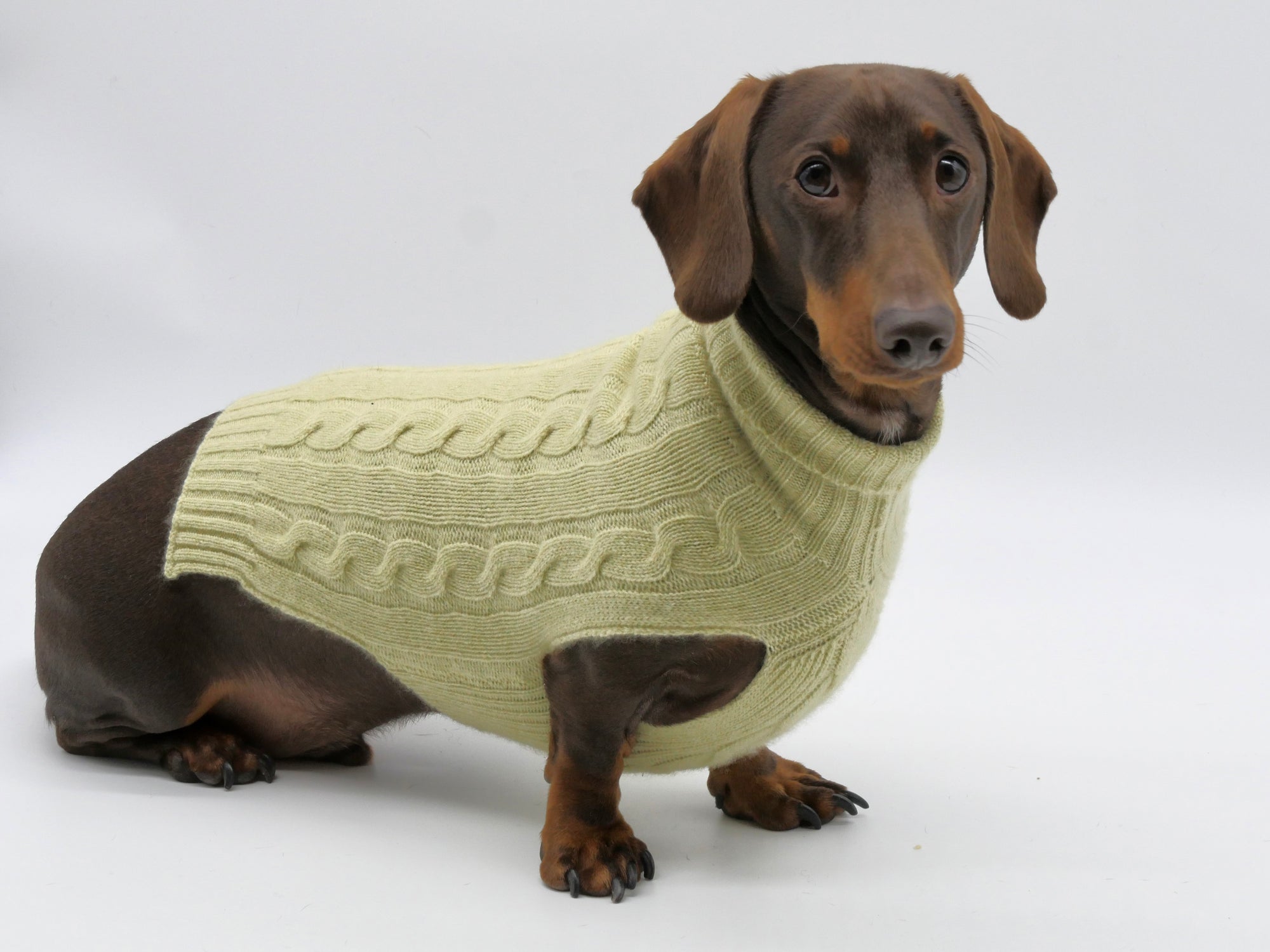 Cashmere Dog Jumper, Pistachio-1