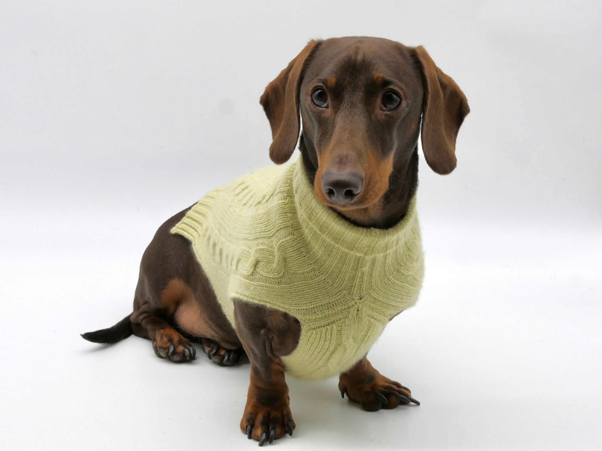 Cashmere Dog Jumper, Pistachio