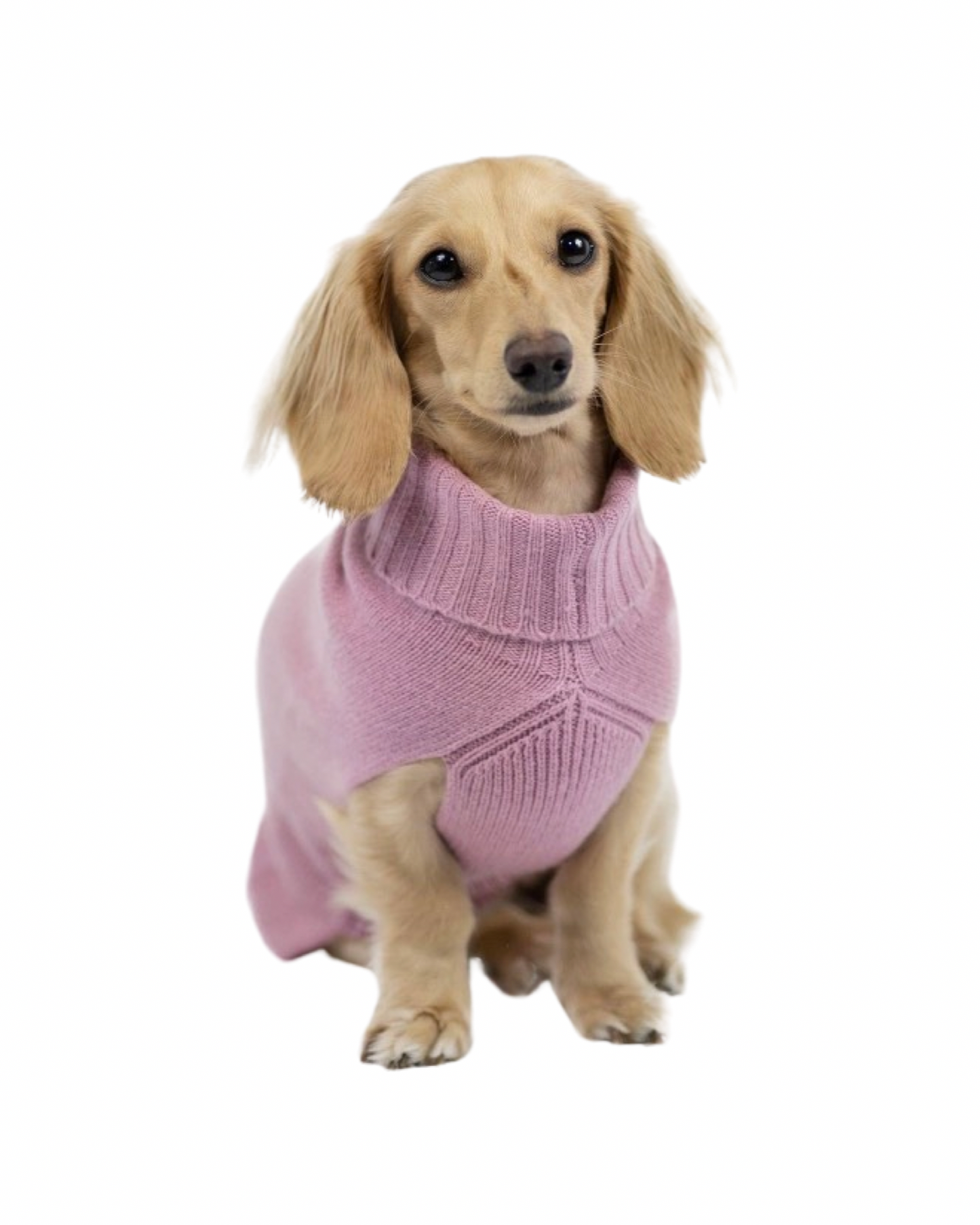Cashmere Dog Jumper, Pink
